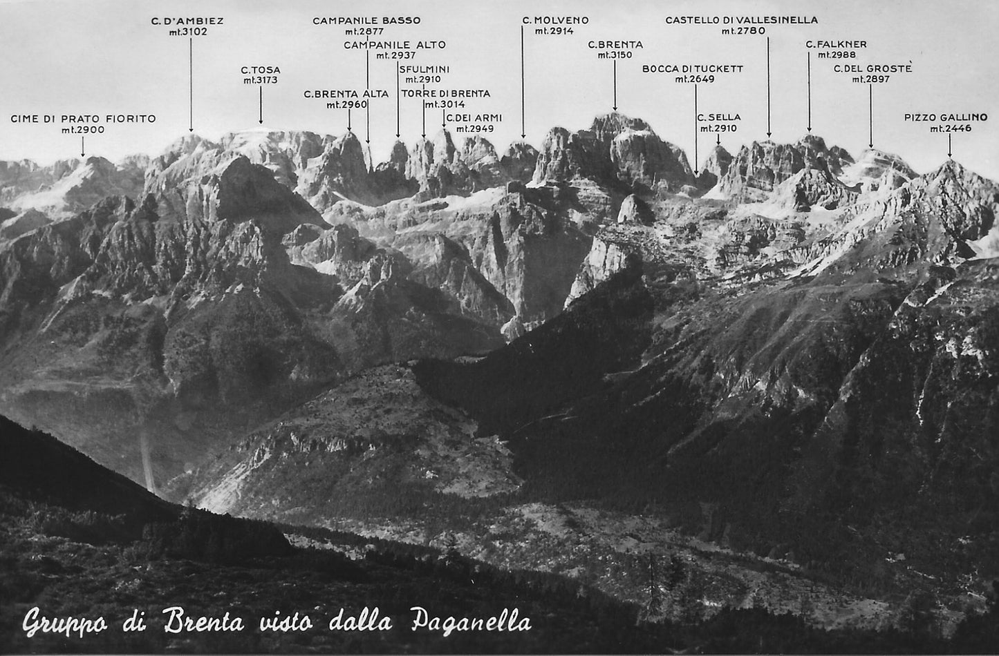 GRUPPO DI BRENTA VISTO DALLA PAGANELLA - PANORAMA - NV
