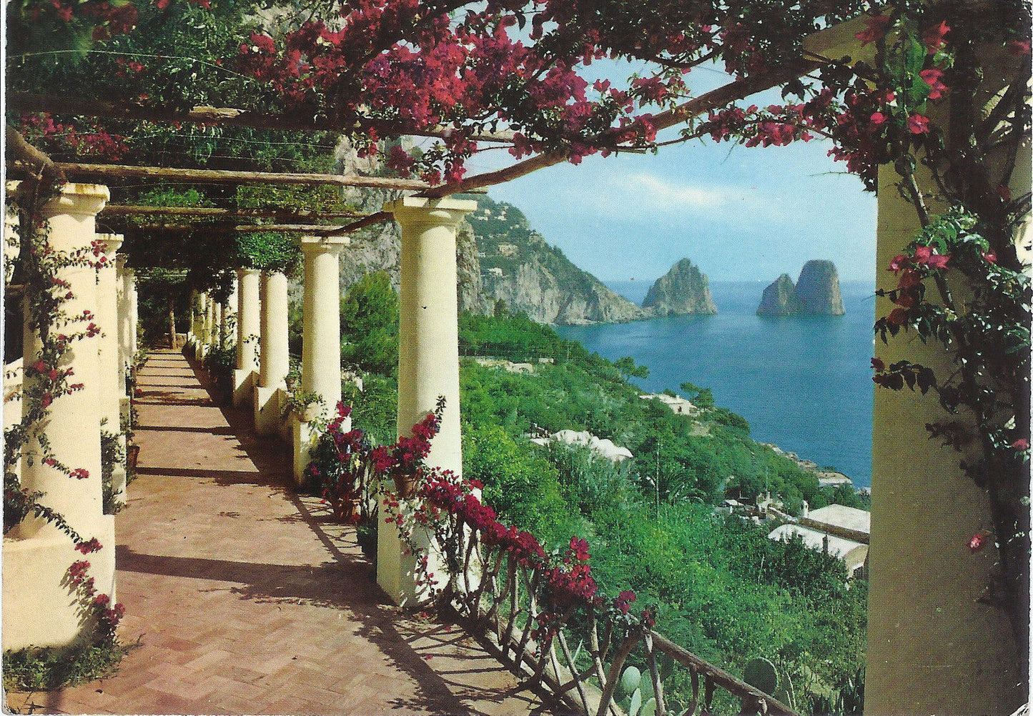 CAPRI - I FARAGLIONI VISTI DA UNA VILLA CAPRESE - V 1964 - FG