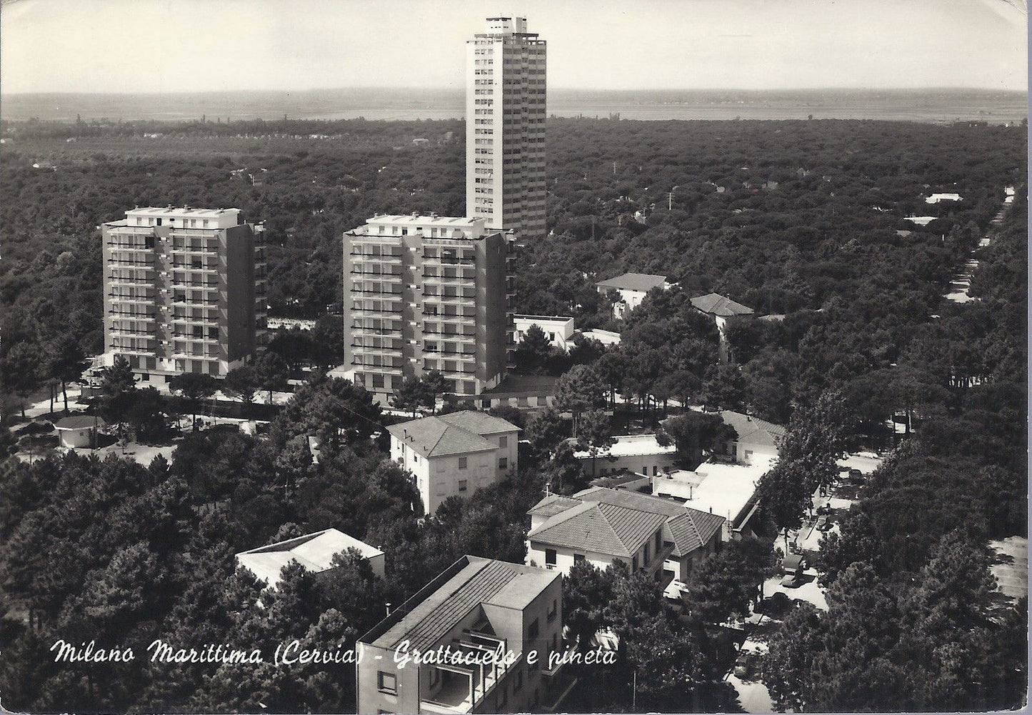 MILANO MARITTIMA CERVIA - GRATTACIELO E PINETA - V 1963 - FG
