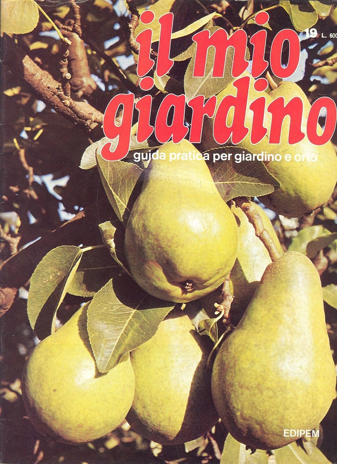 IL MIO GIARDINO N 19