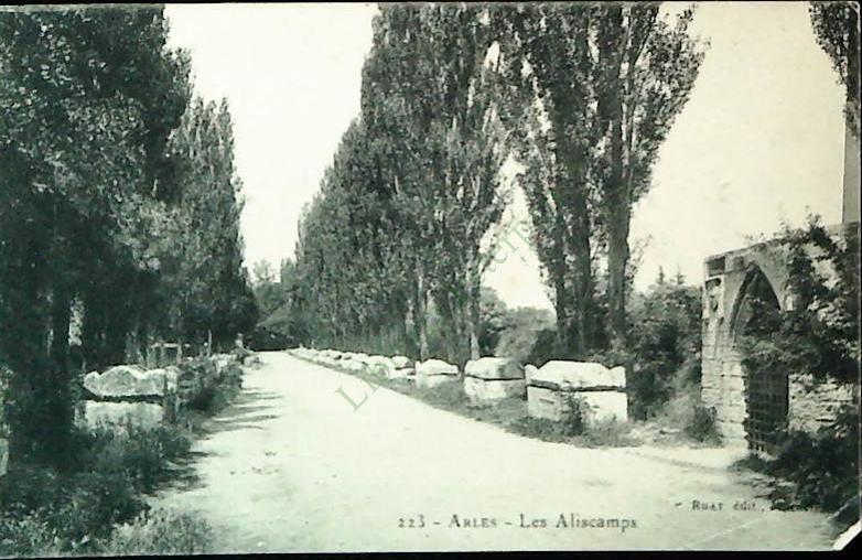 ARLES - LES ALISCAMPS - NV