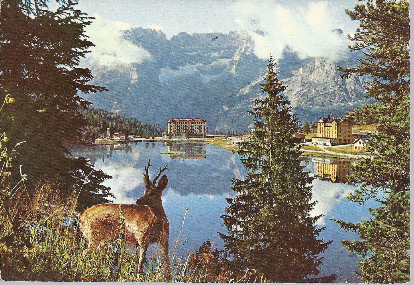 MISURINA - SORAPIS - V 1972 - FG