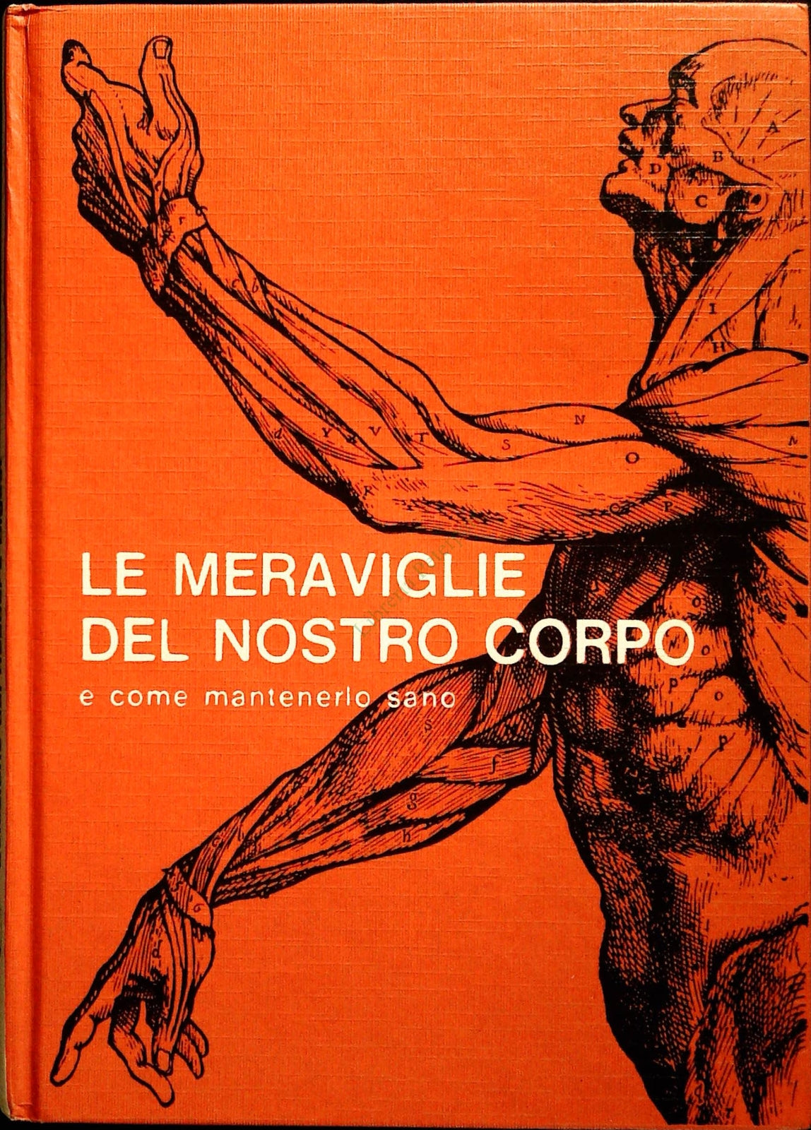 LE MERAVIGLIE DEL NOSTRO CORPO - READER'S DIGEST 1972 - OUTLET DEL LIBRO