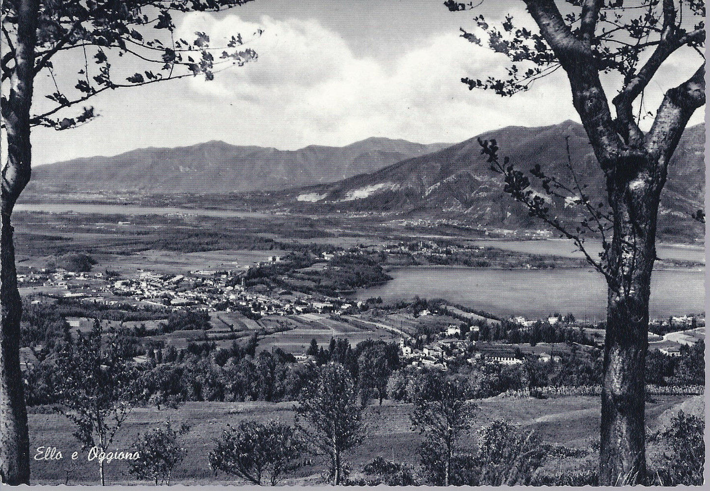 ELLO E OGGIONO - NV - FG