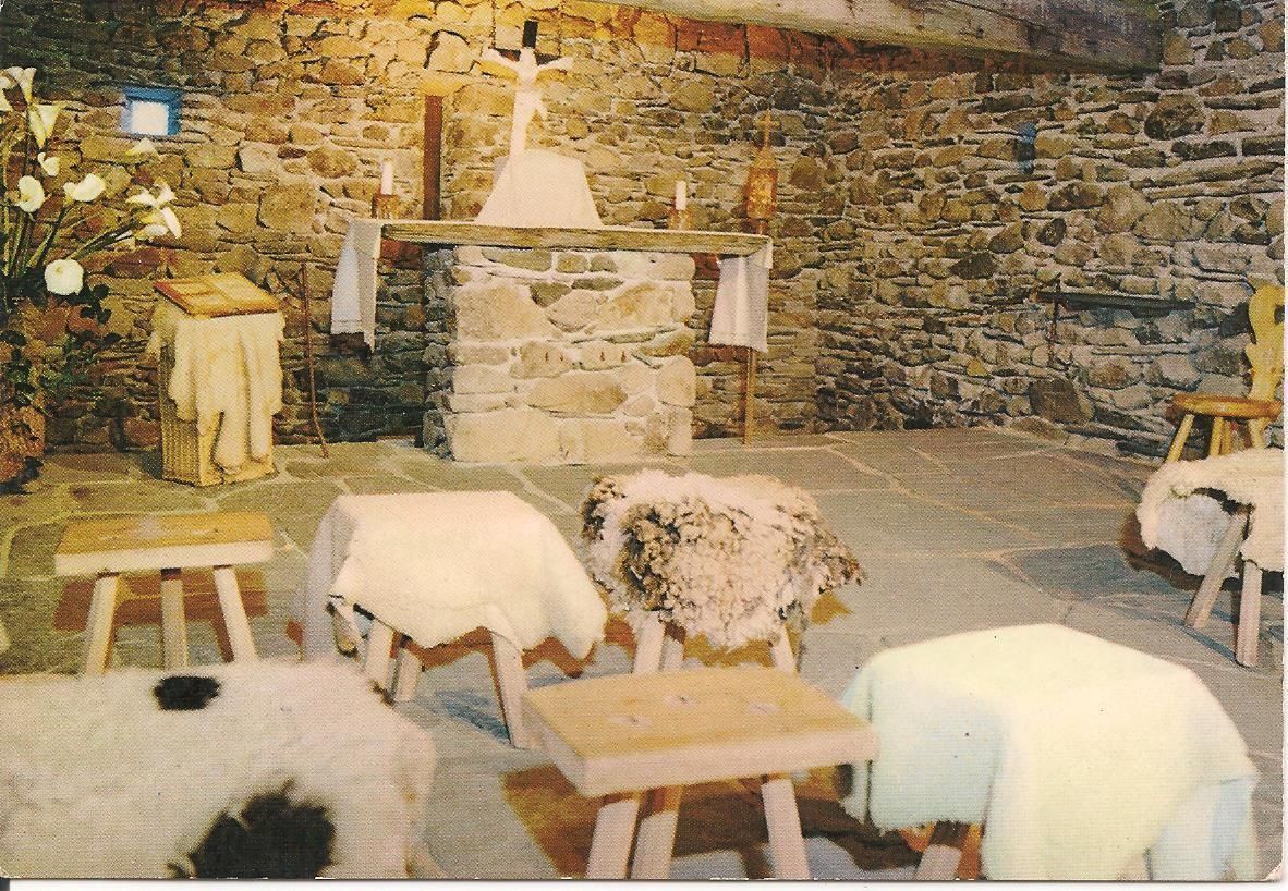 LOURDES -CITE'-SECOURS-SAINT-PIERRE - INTERIEUR DE LA C