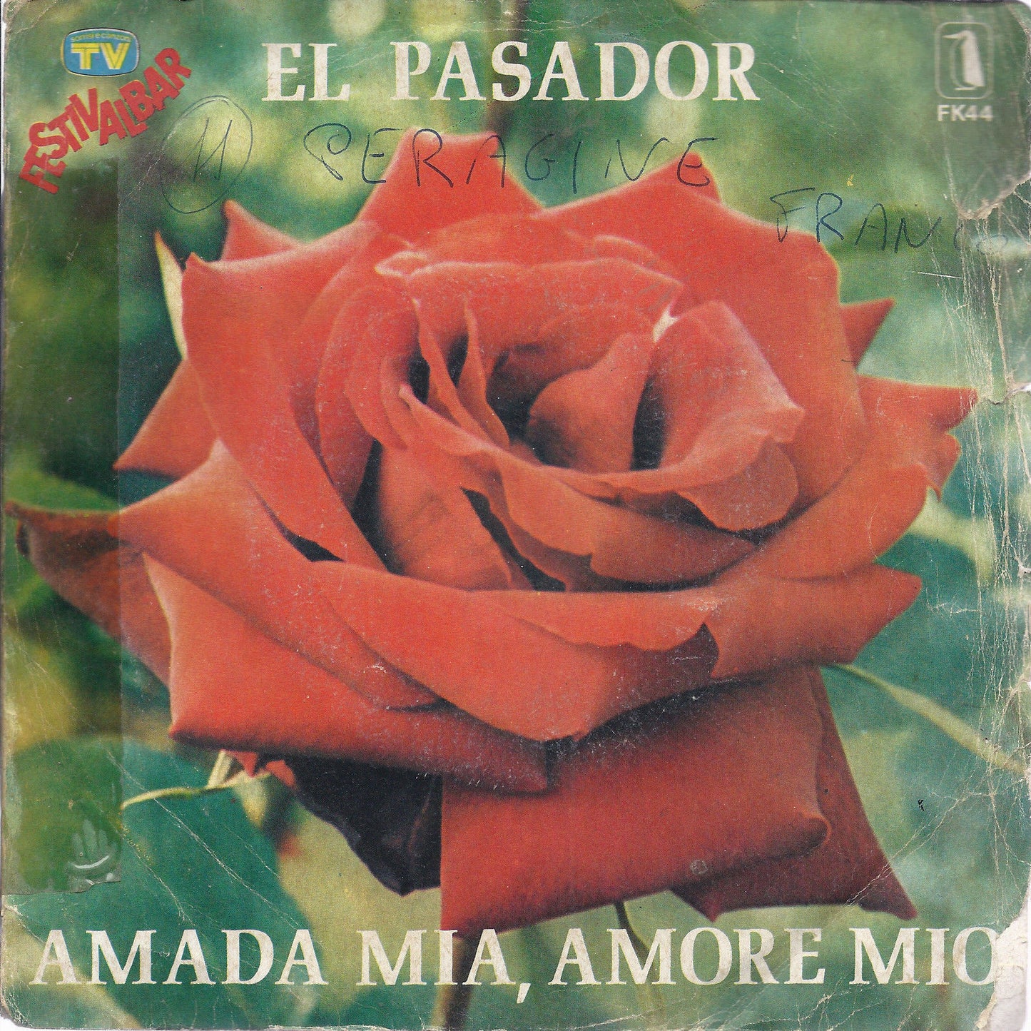 AMADA MIA, AMORE MIO - UNA ROSA # EL PASADOR