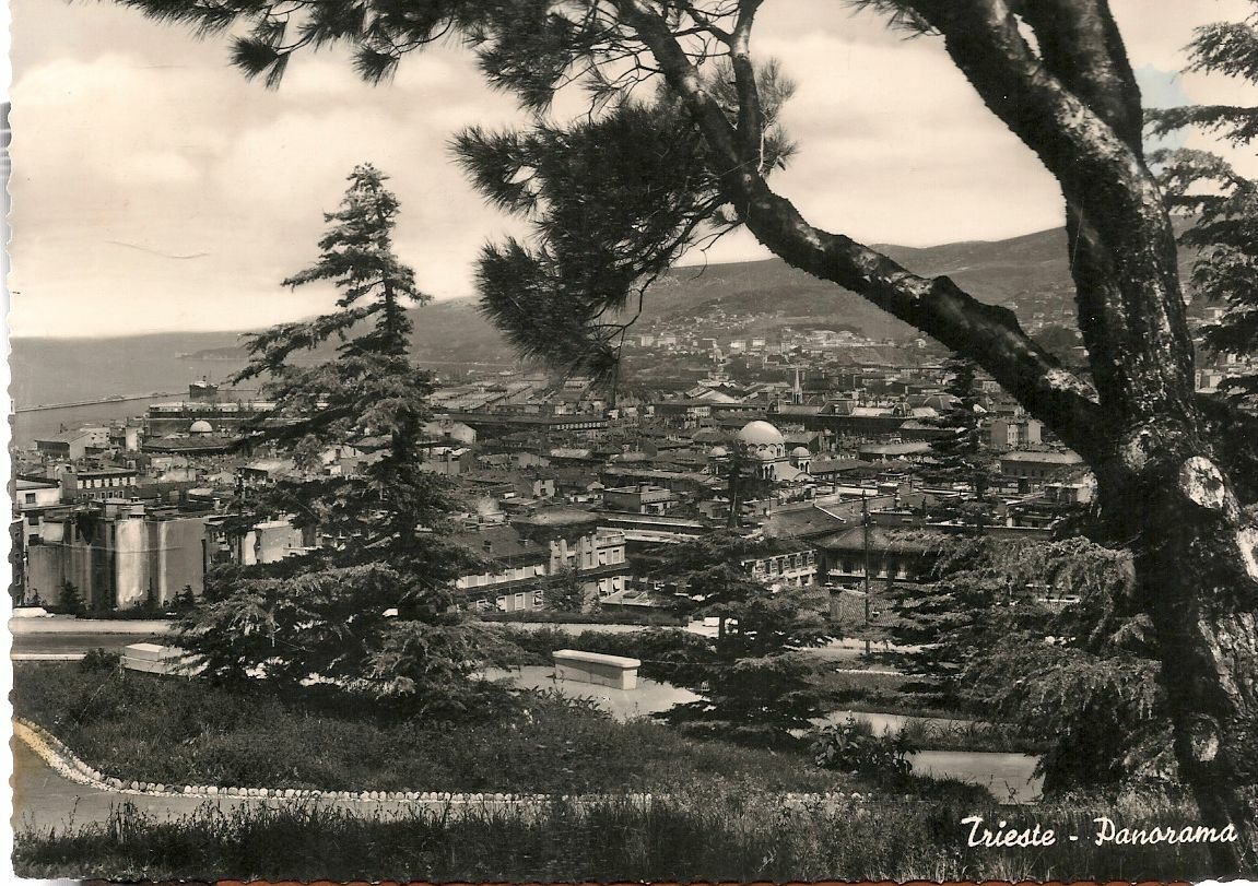 TRIESTE - PANORAMA V1955