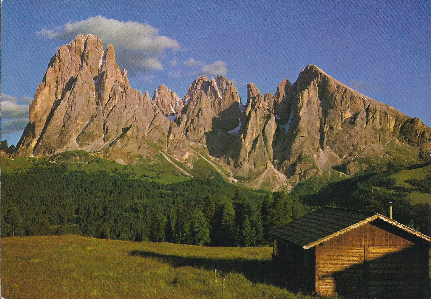 ALPE DI SIUSI VERSO IL SASSOLUNGO - SEISER ALM GEGEN LANGKOF