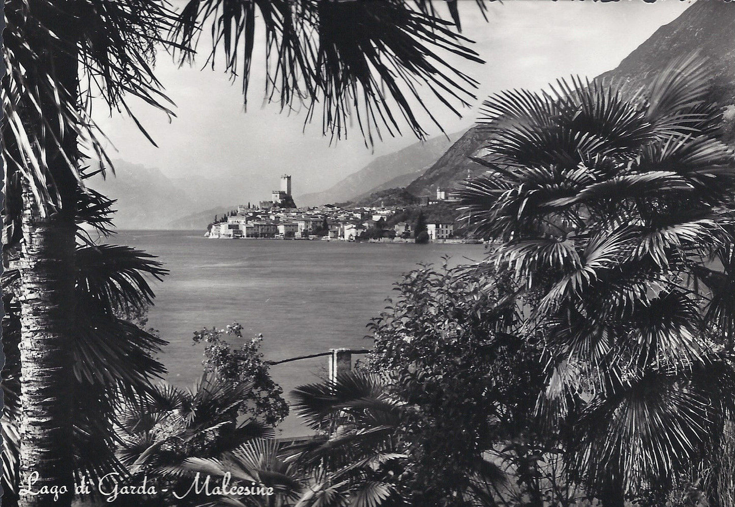 MALCESINE - LAGO DI GARDA - NV