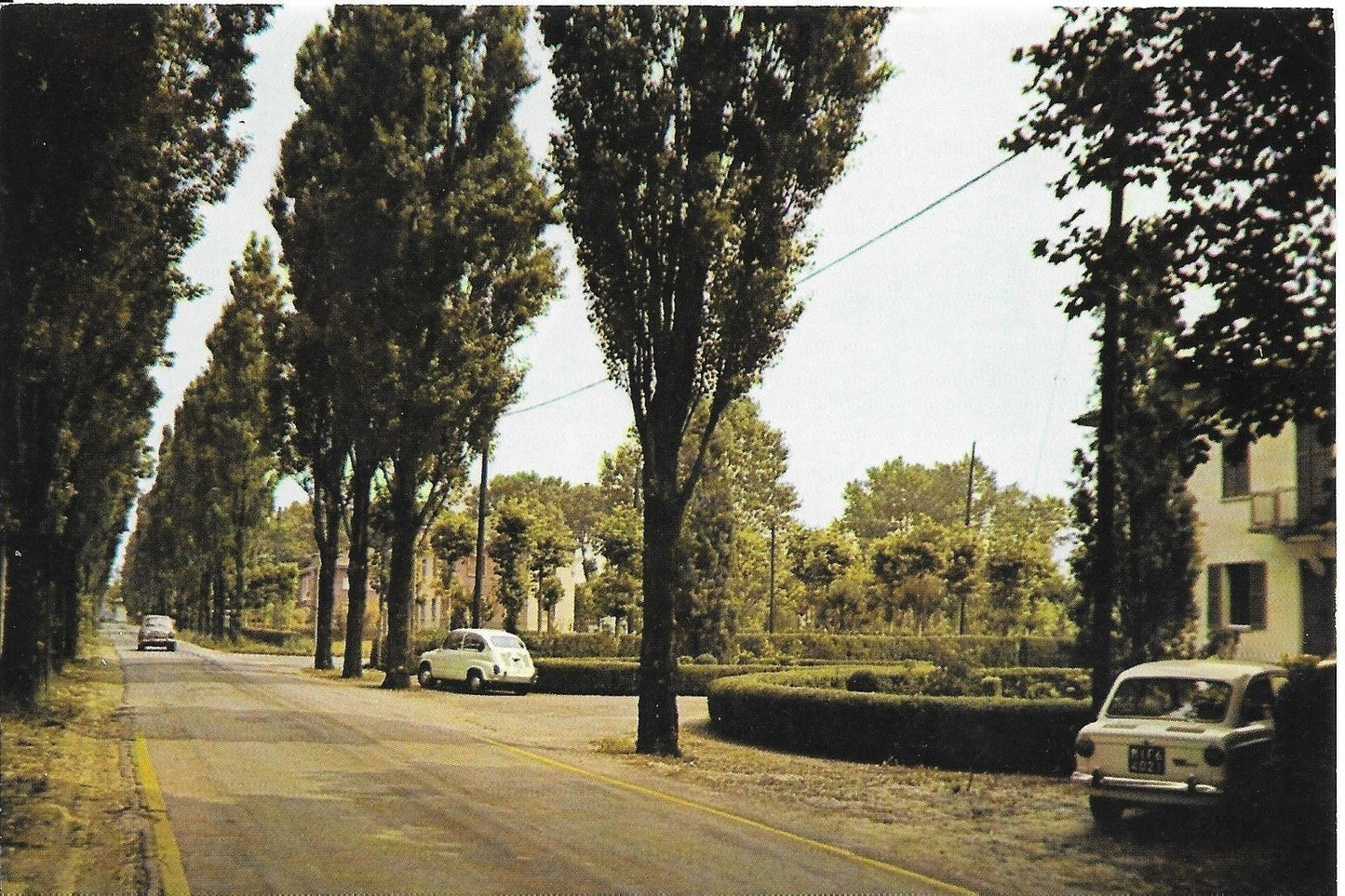 COGLIATE - VIALE MONTECATINI - NV