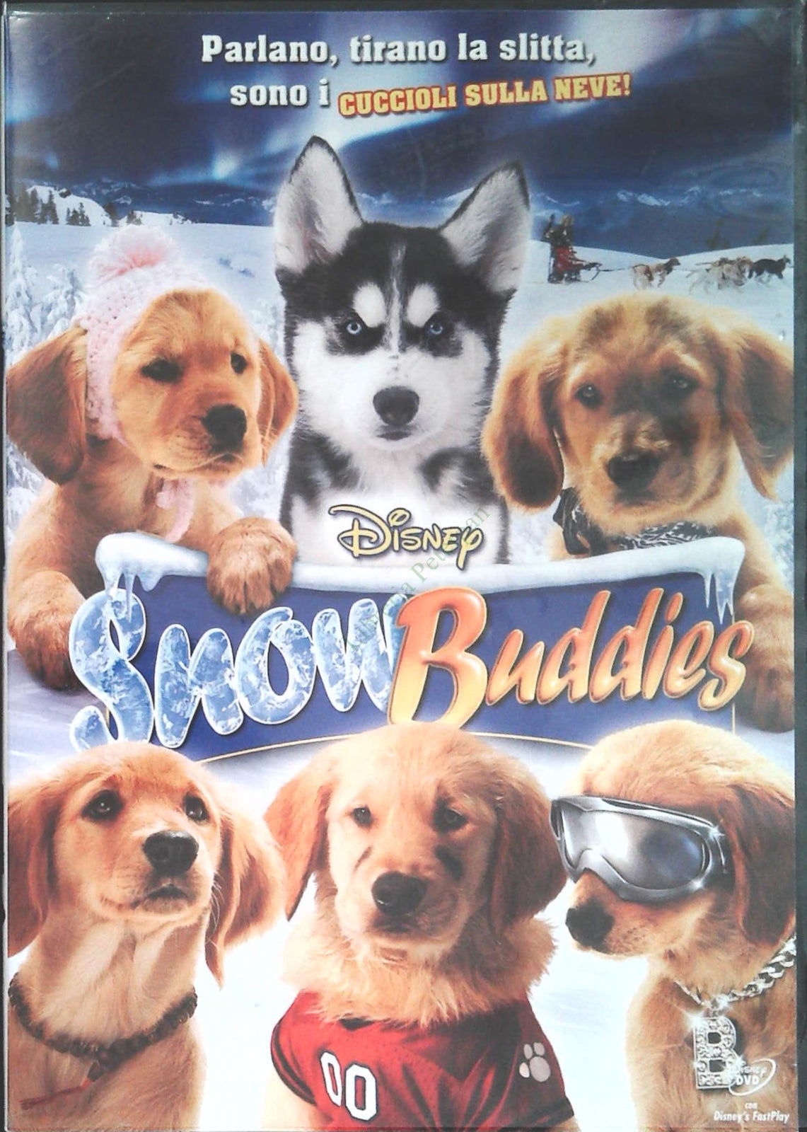 SNOW BUDDIES - DVD