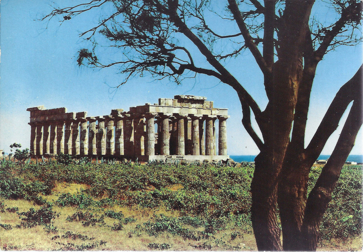 SELINUNTE - TEMPIO DI GIUNONE E - NV