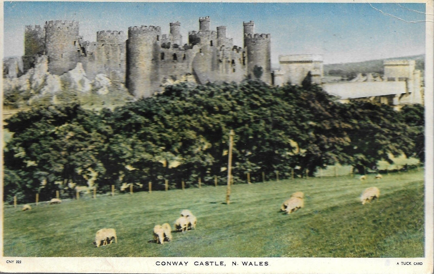 CONWAY CASTLE - PANORAMA - V/T1949