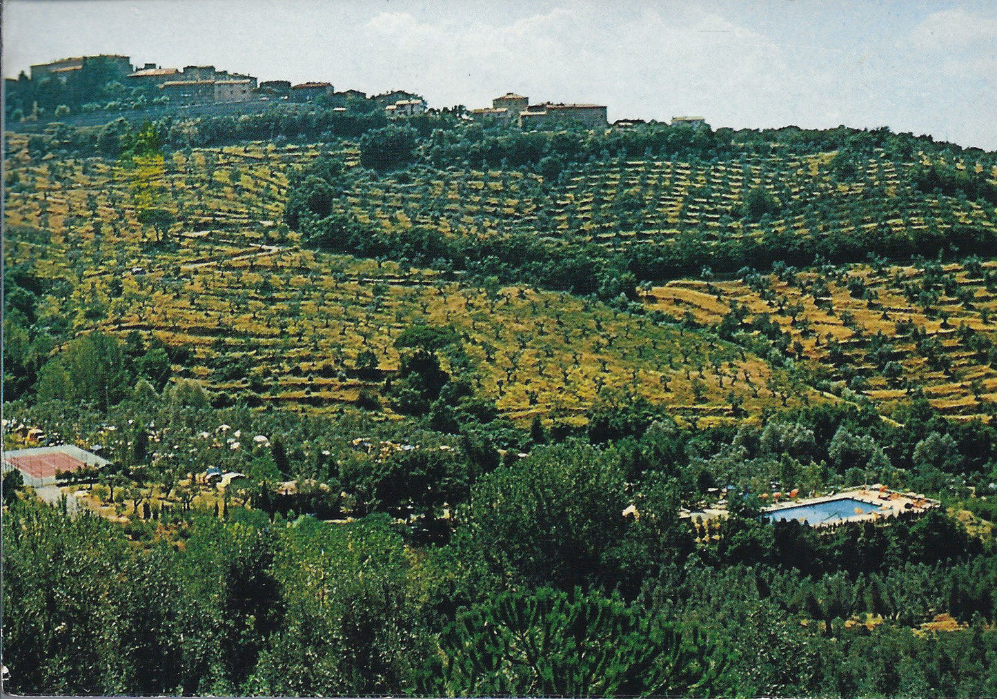 CASTAGNETO CARDUCCI - CAMPING CLIMATICO "LE PIANACCE&qu