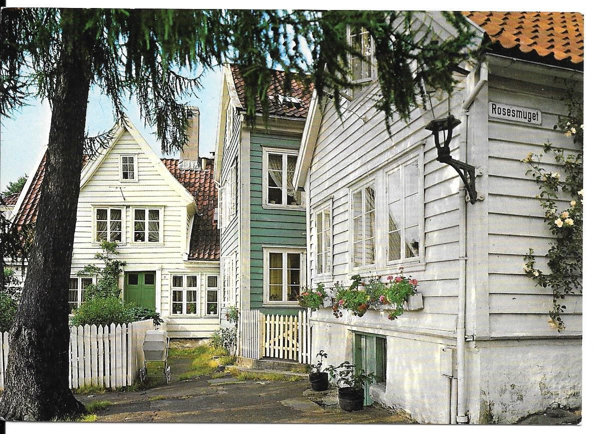 BERGEN - NORGE - PARTI FRA ROESMUGET I SANDVIKEN - V