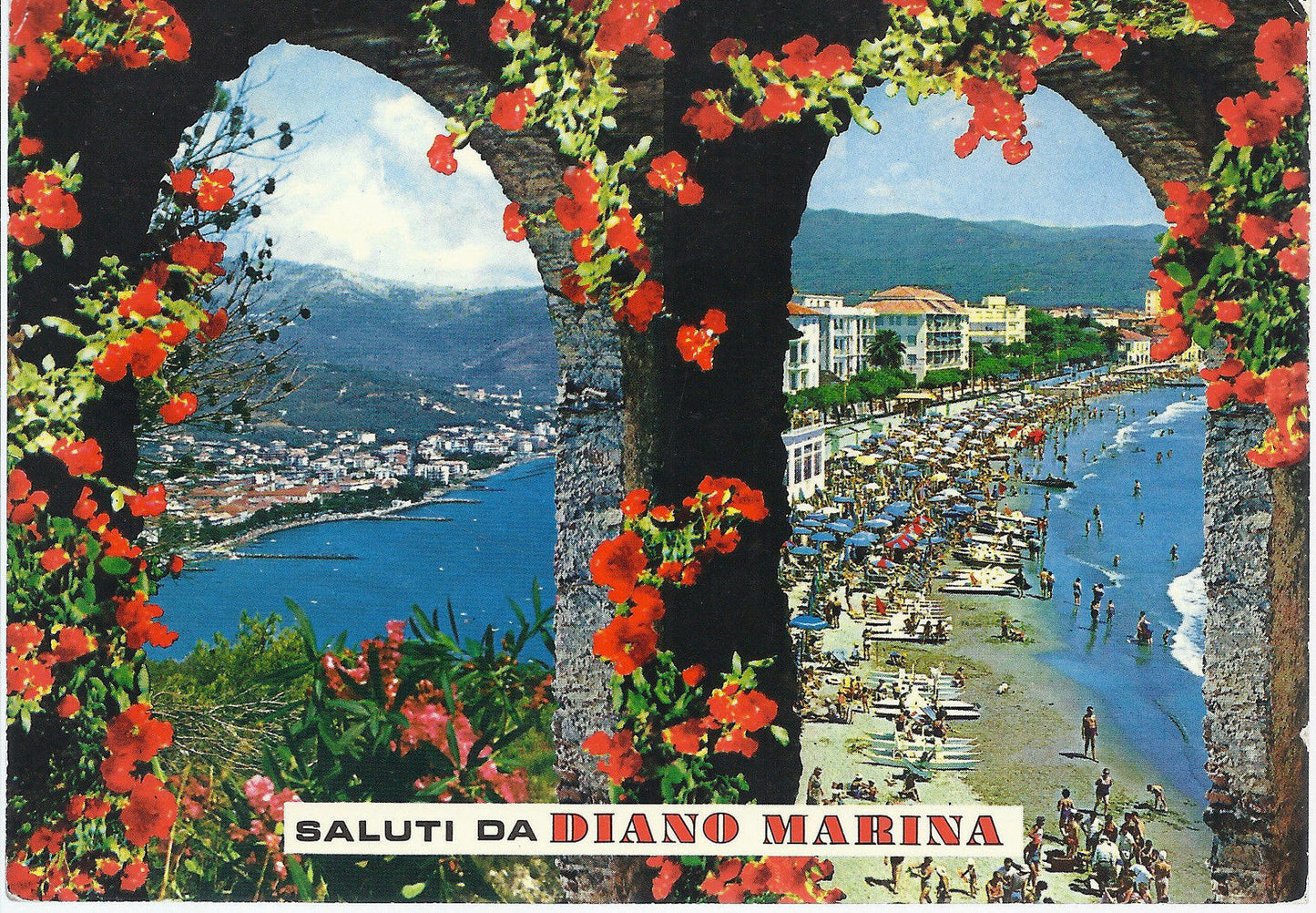 DIANO MARINA - SALUTI - 2 VEDUTE - V 1981 - FG