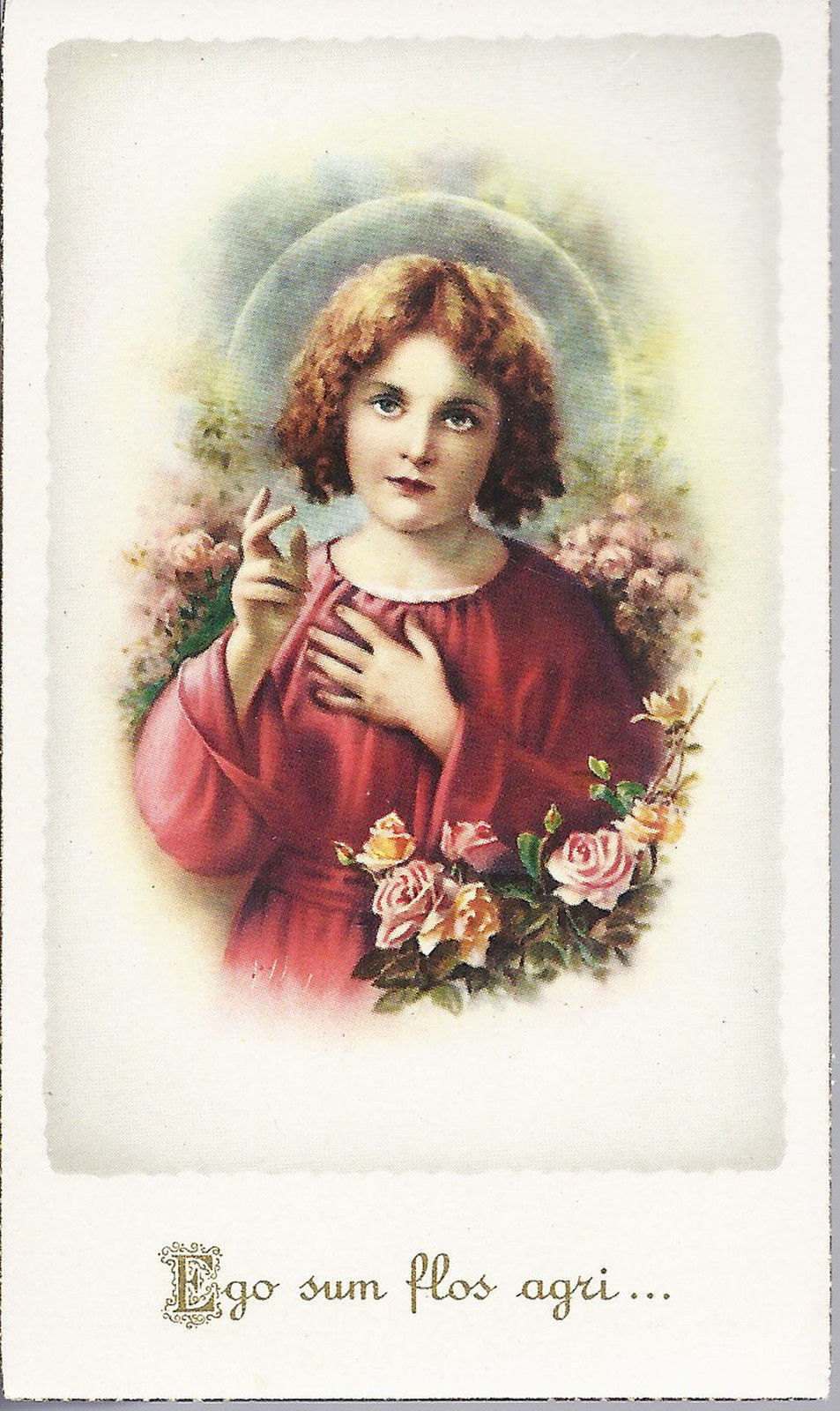 EGO SUM FLOS AGRI ... - SANTINO - AS012-206