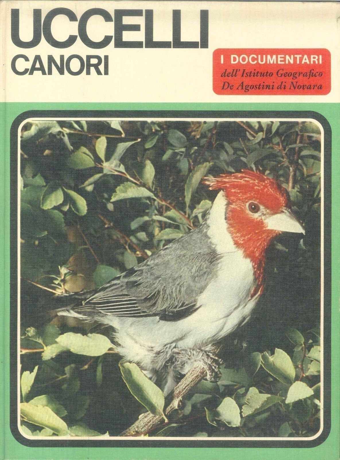 UCCELLI CANORI - I DOCUMENTARI