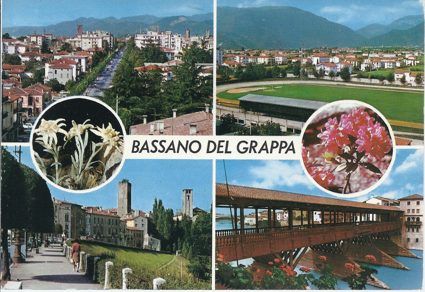 BASSANO DEL GRAPPA - 4 VEDUTE - V1990
