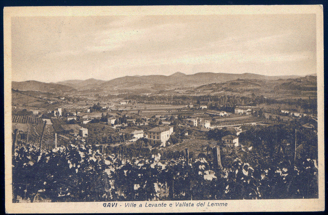 GAVI - VILLE A LEVANTE E VALLATA DEL LEMME V1942