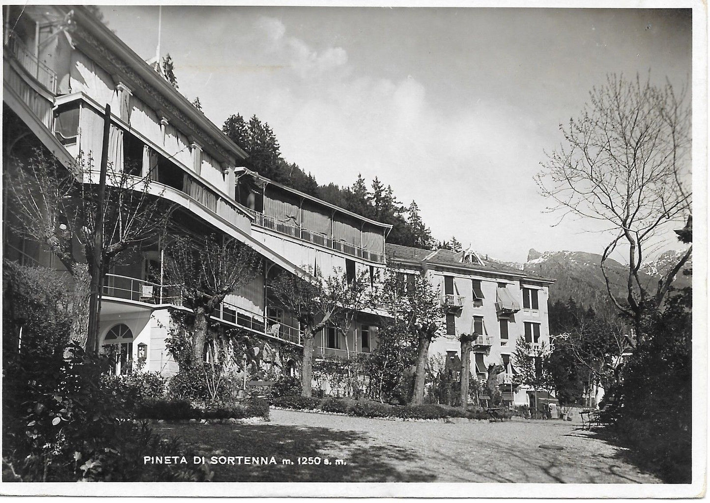 PINETA DI SORTENNA - VIB1940