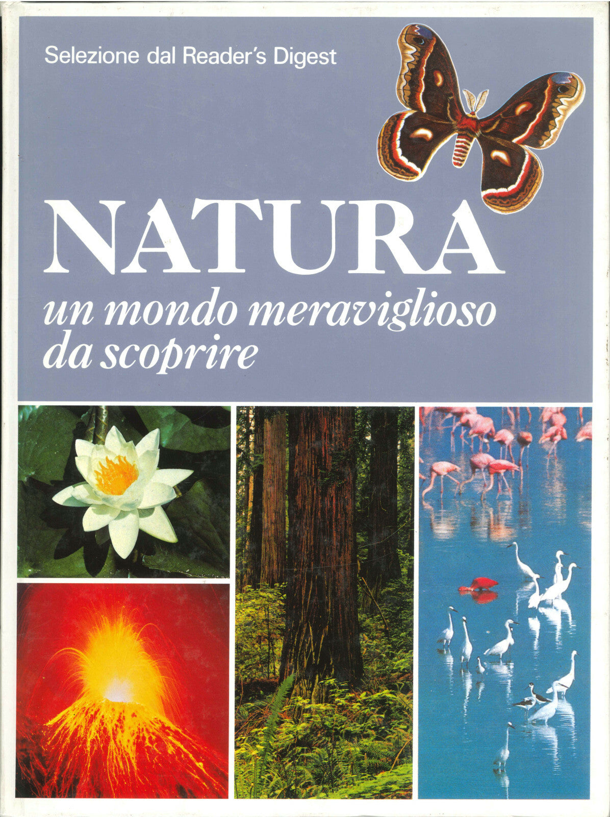 NATURA. UN MONDO MERAVIGLIOSO DA SCOPRIRE - SELEZIONE DAL READER'S DIGEST