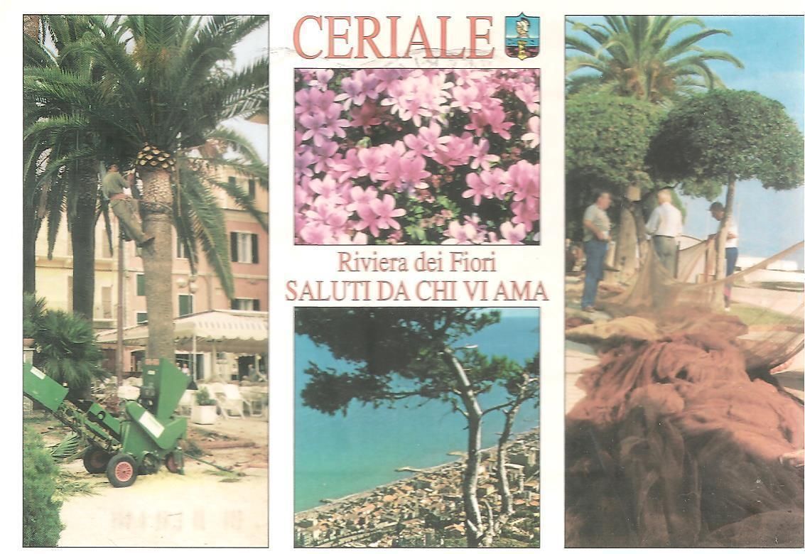 CERIALE - 4 VEDUTE - V2001