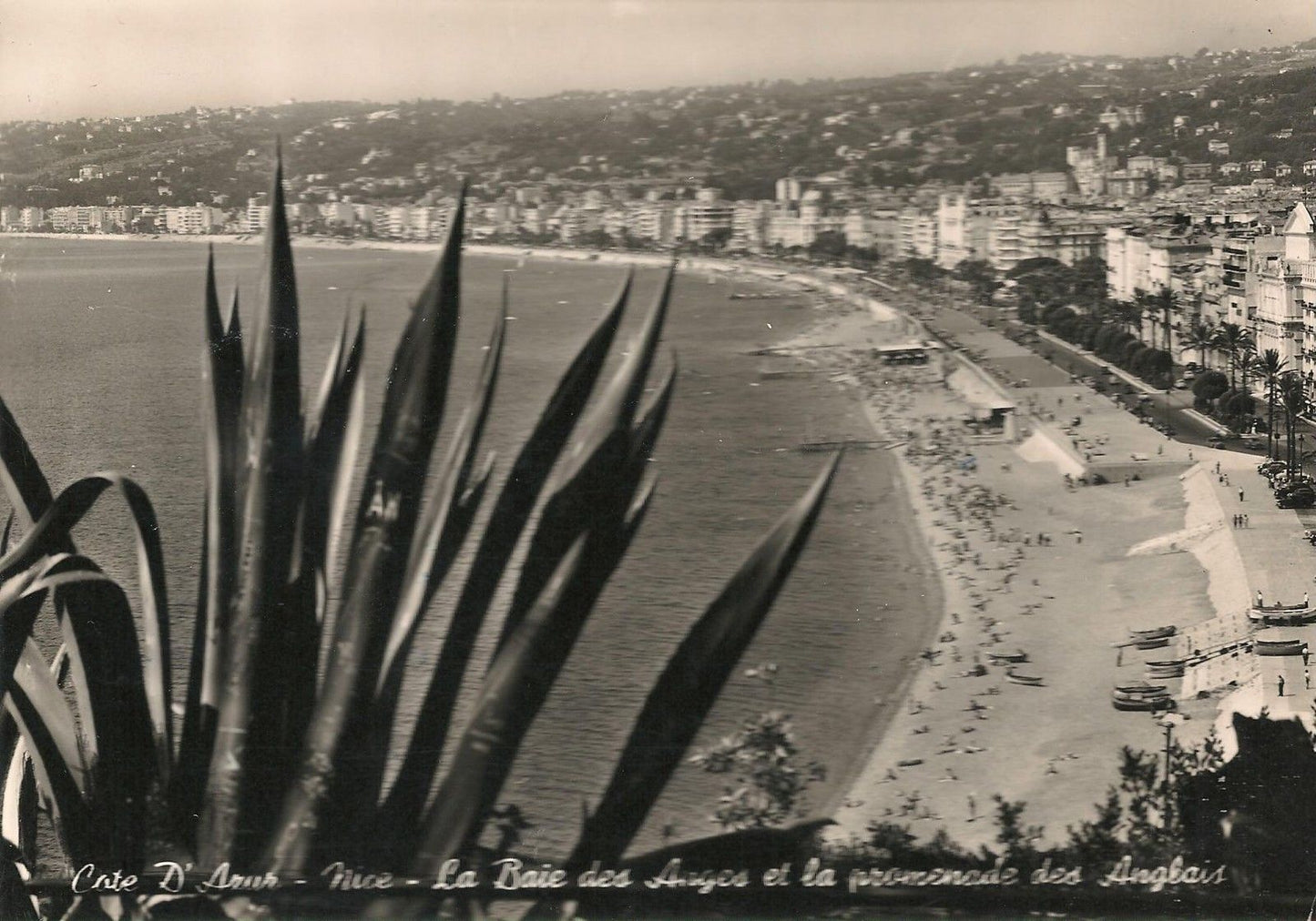 COTE D'AZUR - PANORAMA/VUE GENERALE - V1958