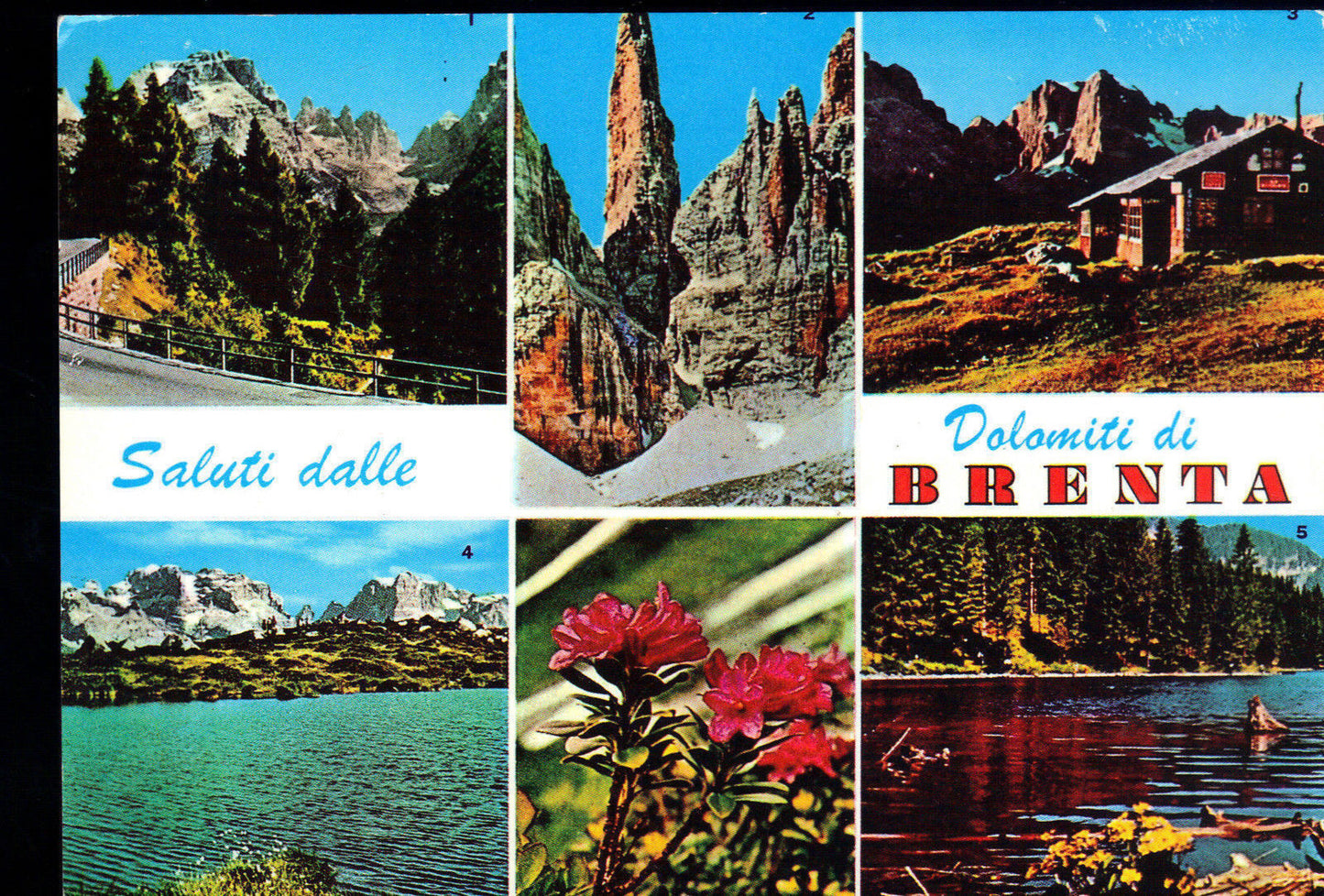 DOLOMITI DI BRENTA 5 VEDUTE - V1999