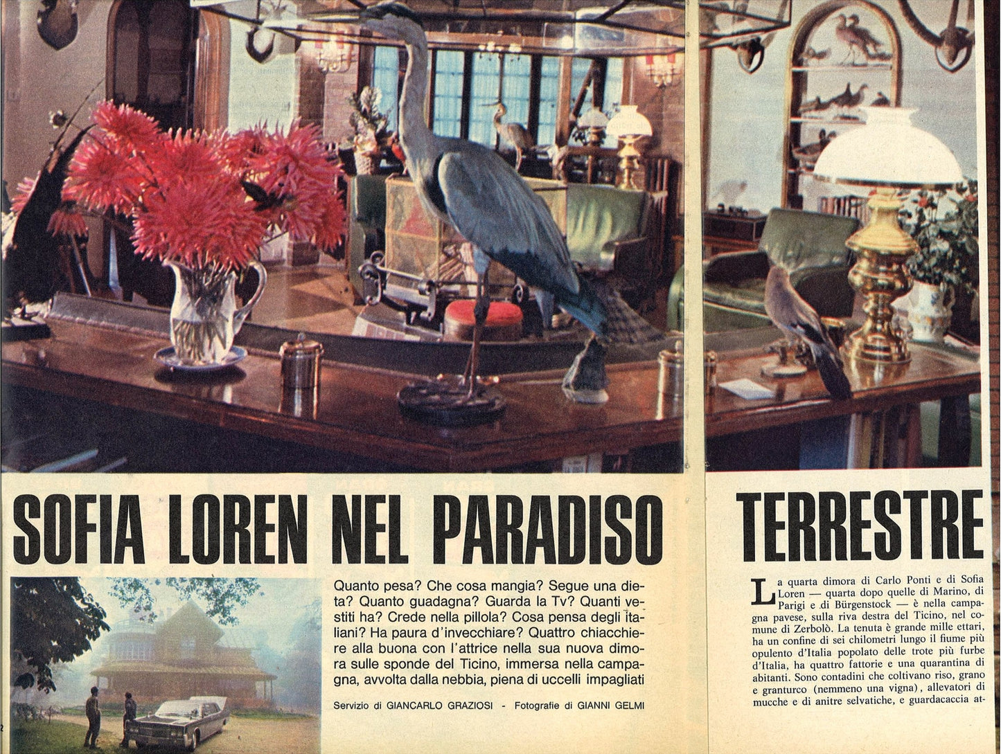 SOFIA LOREN NEL PARADISO TERRESTRE 1969 - CLIPPING-RITAGLIO DI GIORNALE