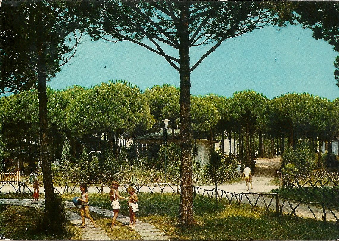 MARINA DI ERACLEA - VILLINI - V1976