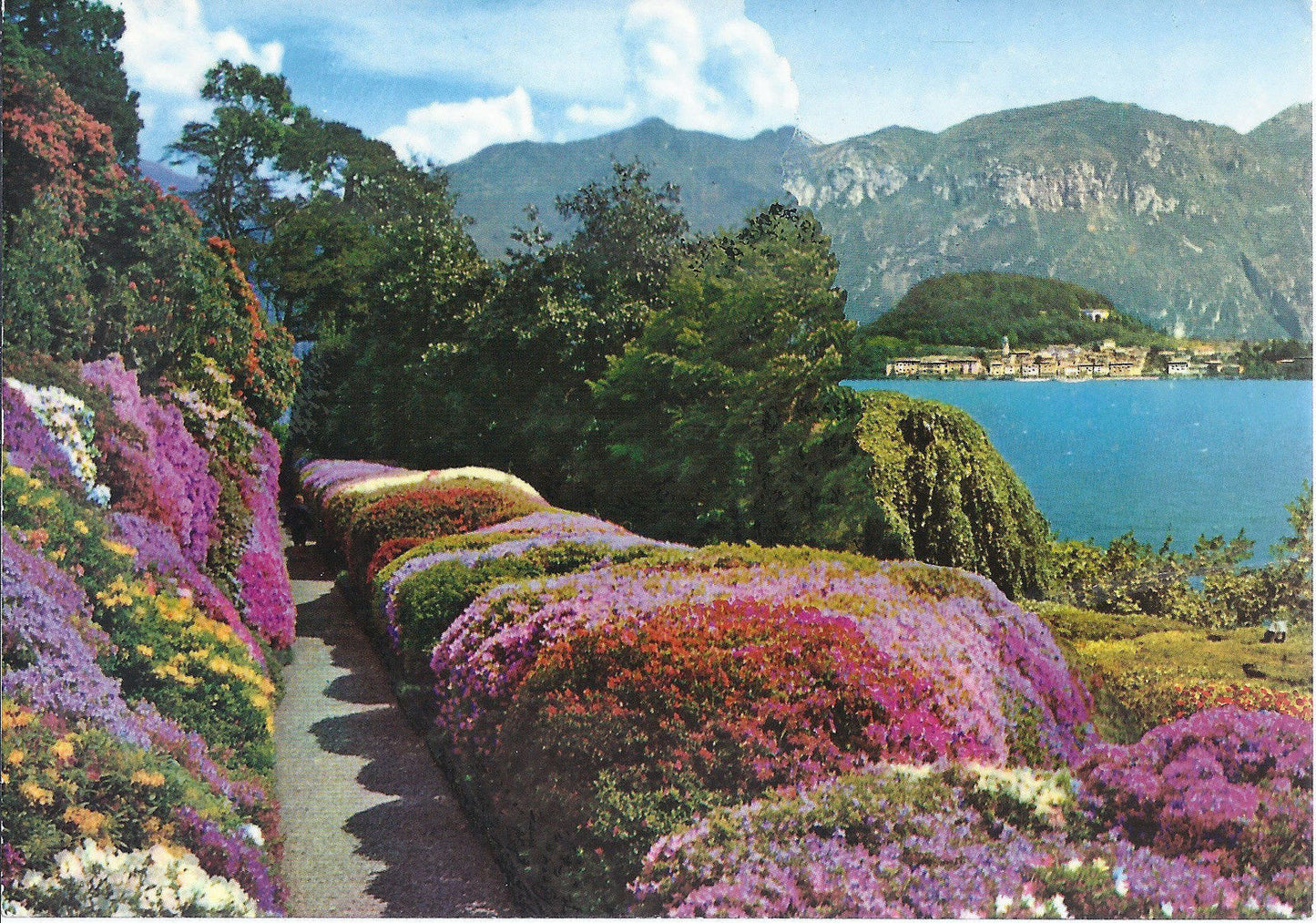 LAGO DI COMO - VILLA CARLOTTA - FIORITURA DI AZALEE - NV