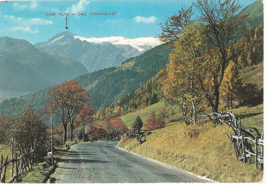 MADONNA DI CAMPIGLIO - STATALE PER MADONNA DI CAMPIGLIO - PA