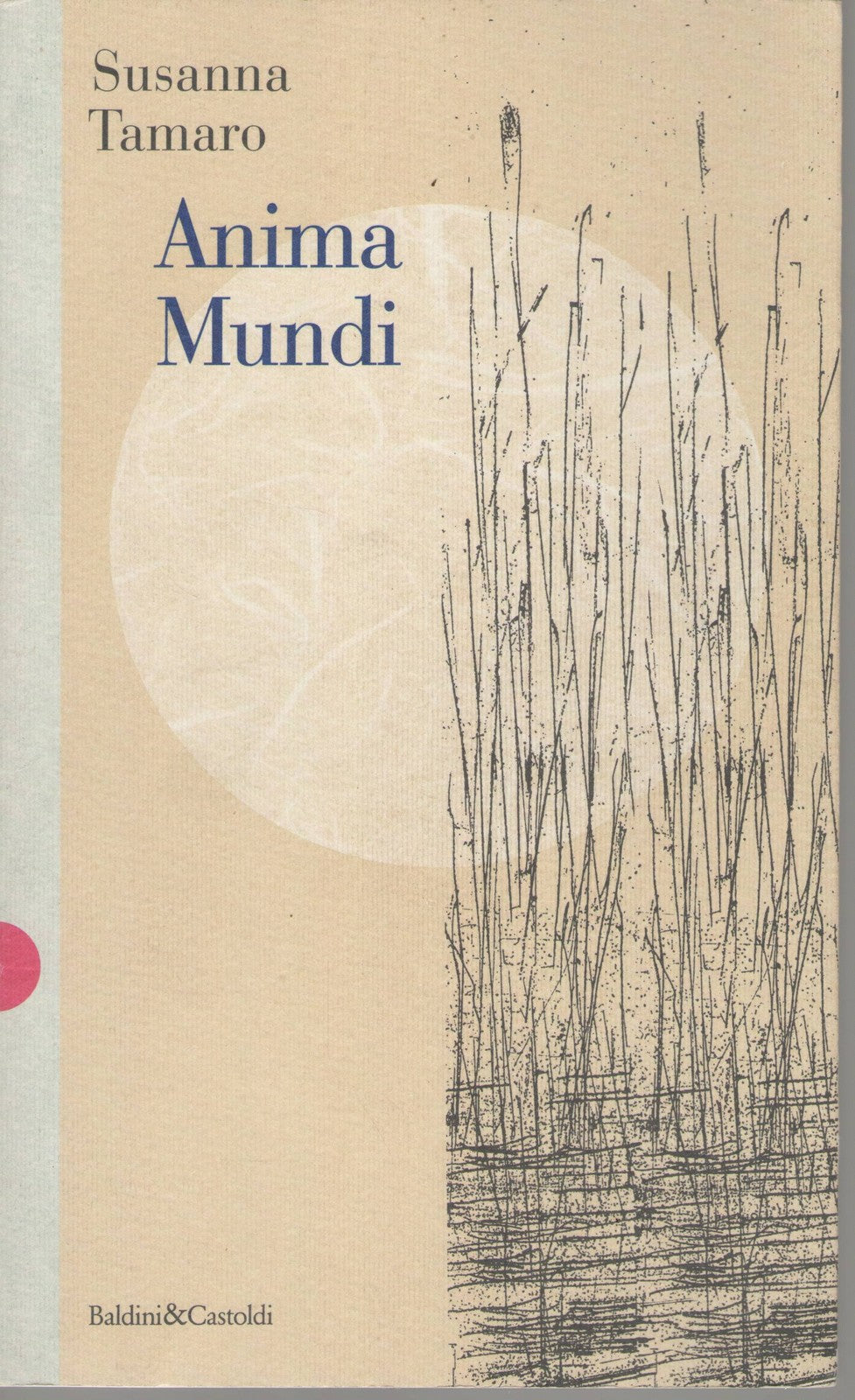 ANIMA MUNDI - SUSANNA TAMARO   ED. BALDINI E CASTOLDI