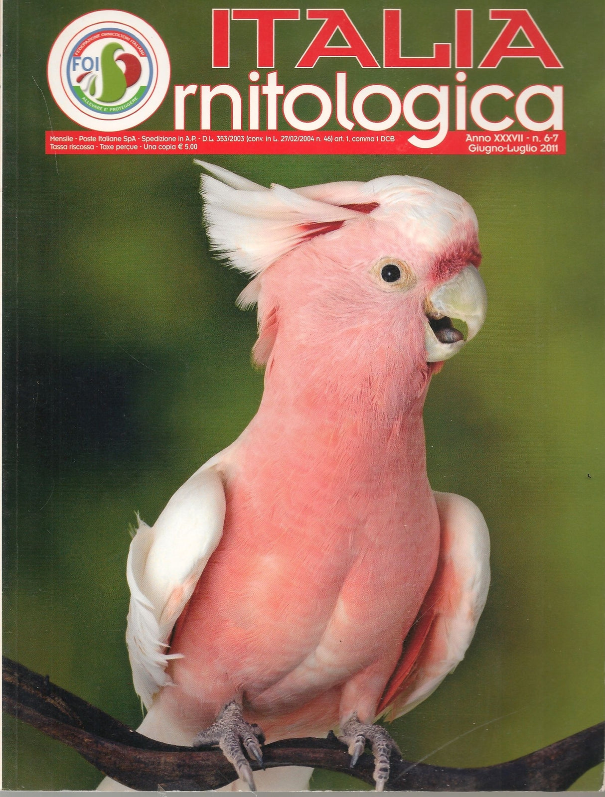 ITALIA ORNITOLOGICA - GIUGNO-LUGLIO 2011