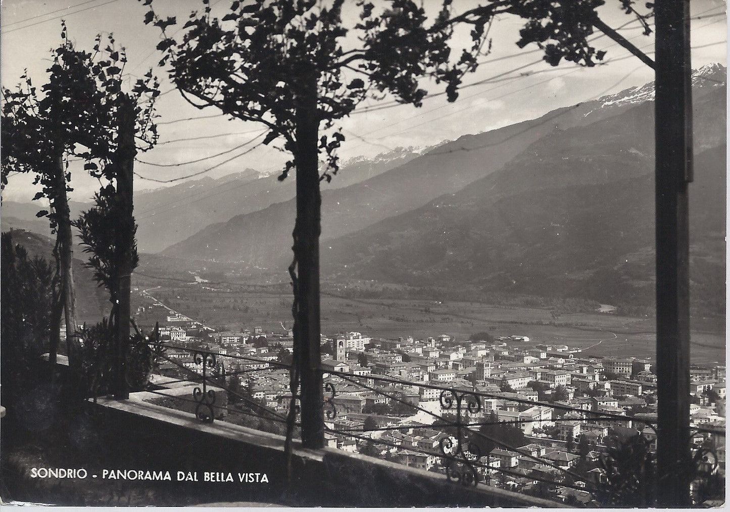 SONDRIO - PANORAMA DAL BELLA VISTA - V 1953 - FG