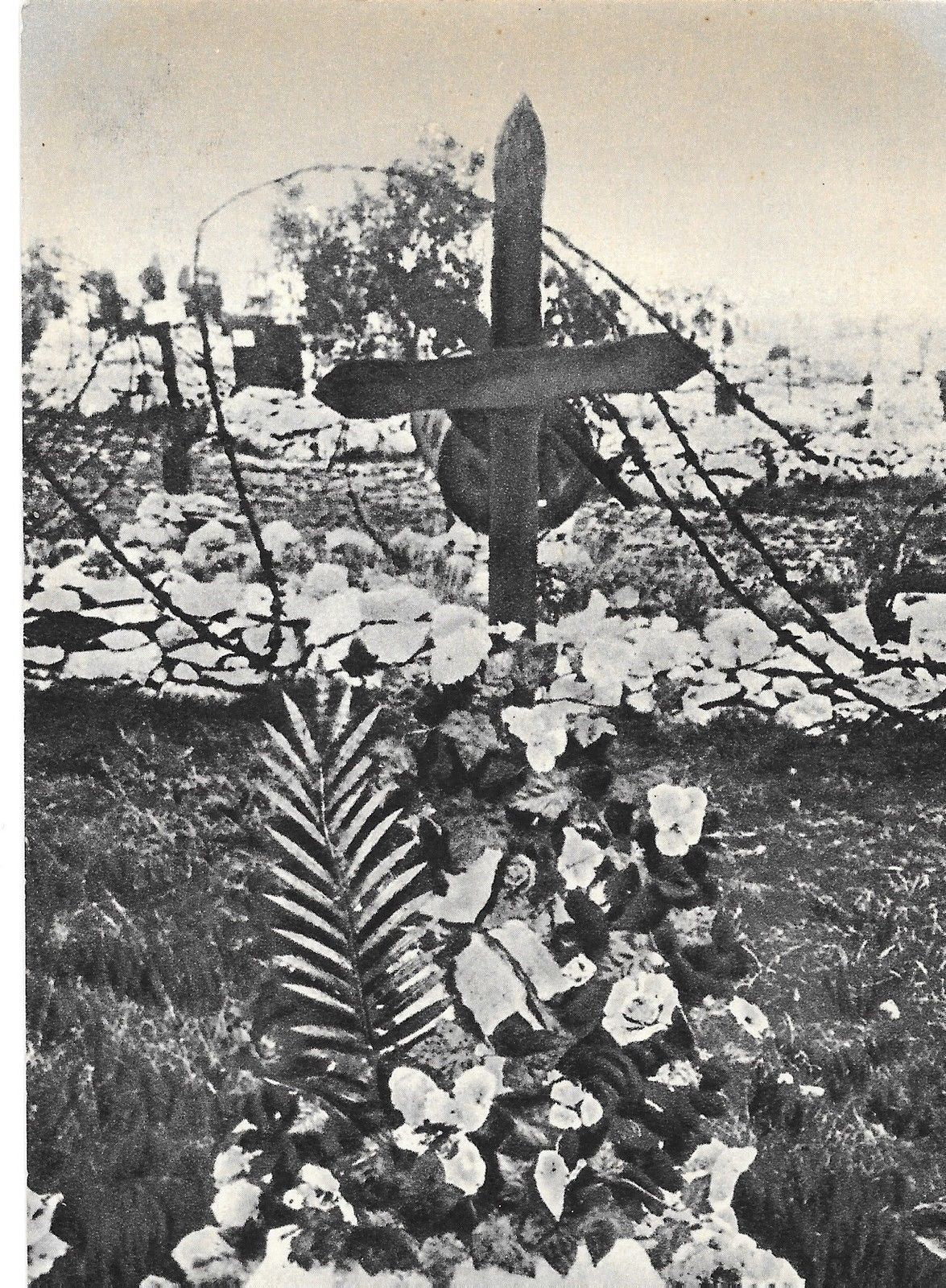 VECCHIO CIMITERO DEGLI EROI COLLE SANT'ELIA - GUERRA 19