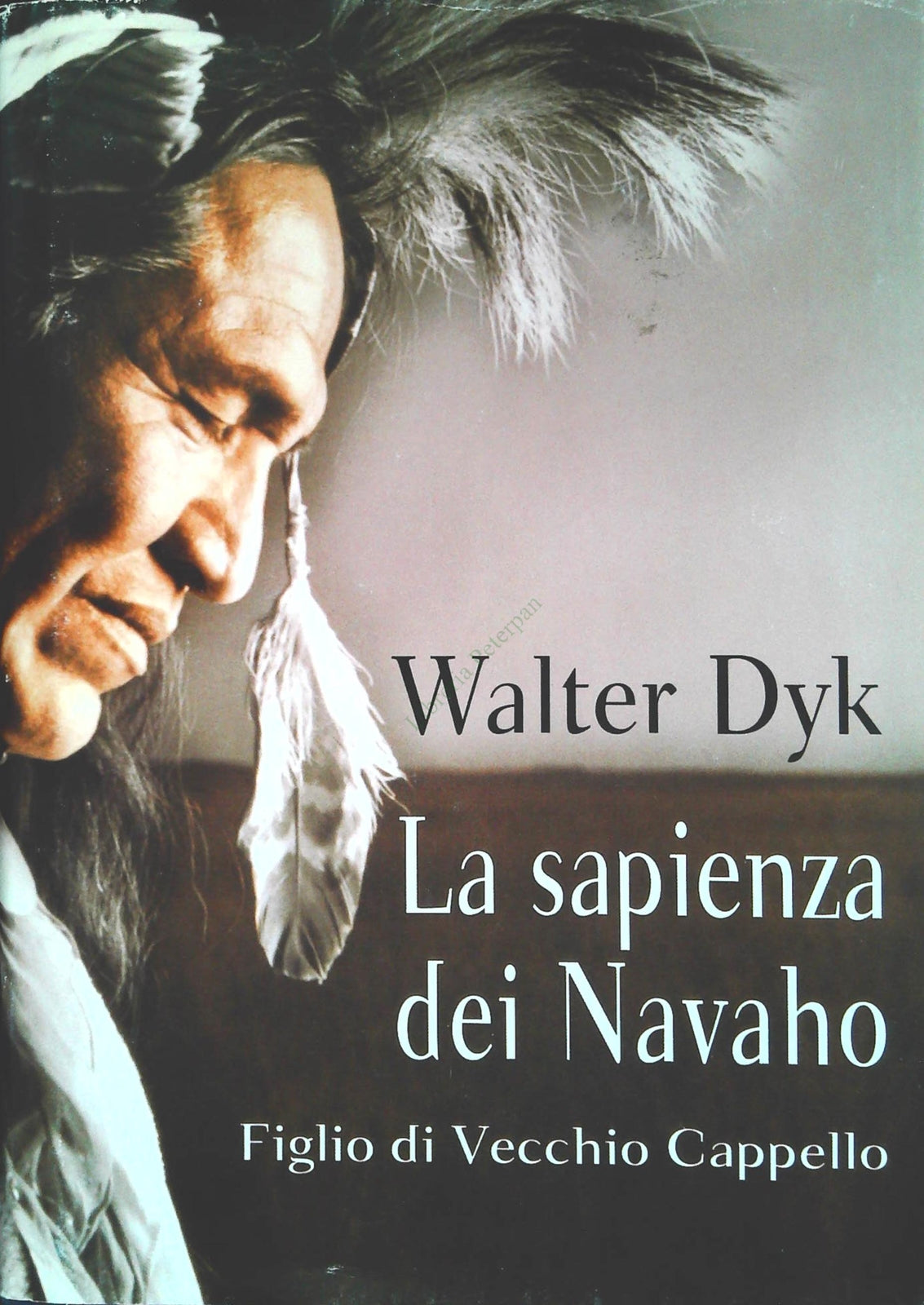 LA SAPIENZA DEL NAVAHO - WALTER DYK