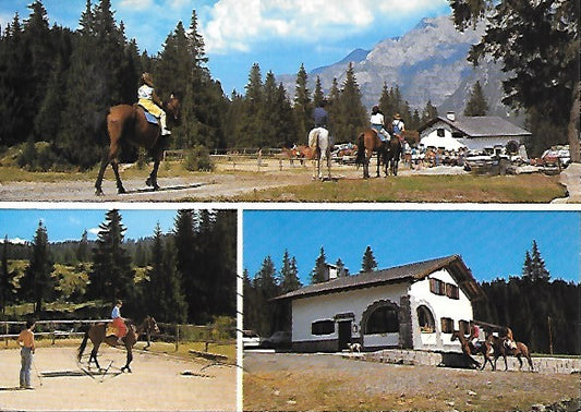 MADONNA DI CAMPIGLIO - CASCINA ZELEDRIA BAR RISTORANTE - 3 IMMAGINI - V1992