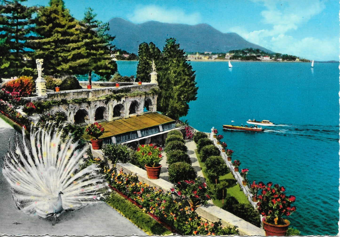 LAGO MAGGIORE - ISOLA BELLA - GIARDINO - ACQUARELLATA - NV