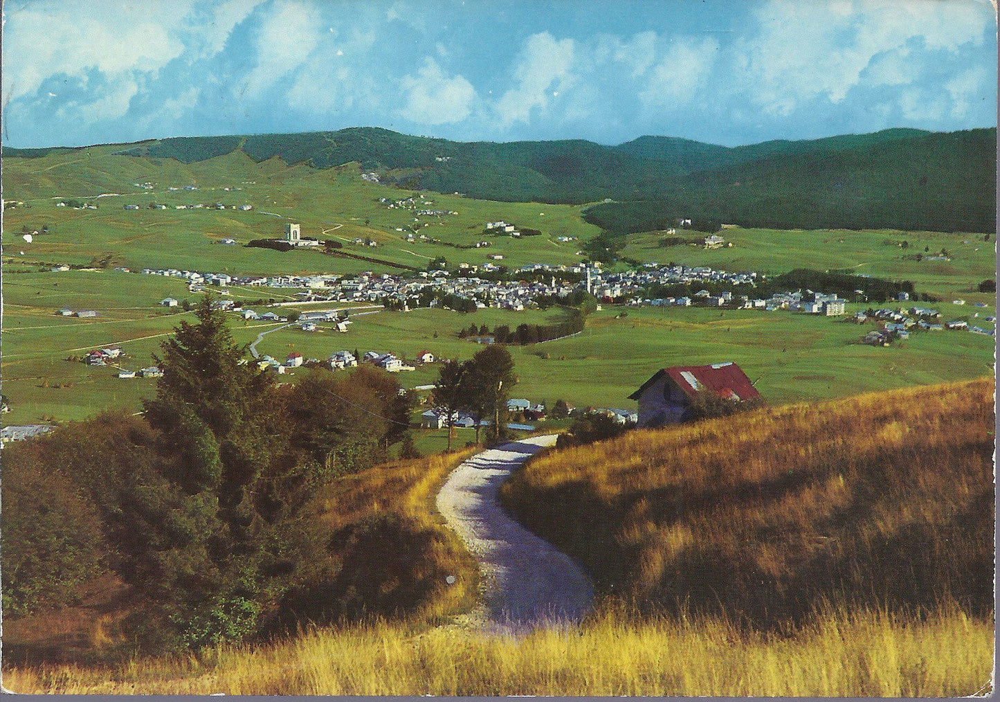 ASIAGO - INCANTEVOLE SOGGIORNO ESTIVO - VSD - FG