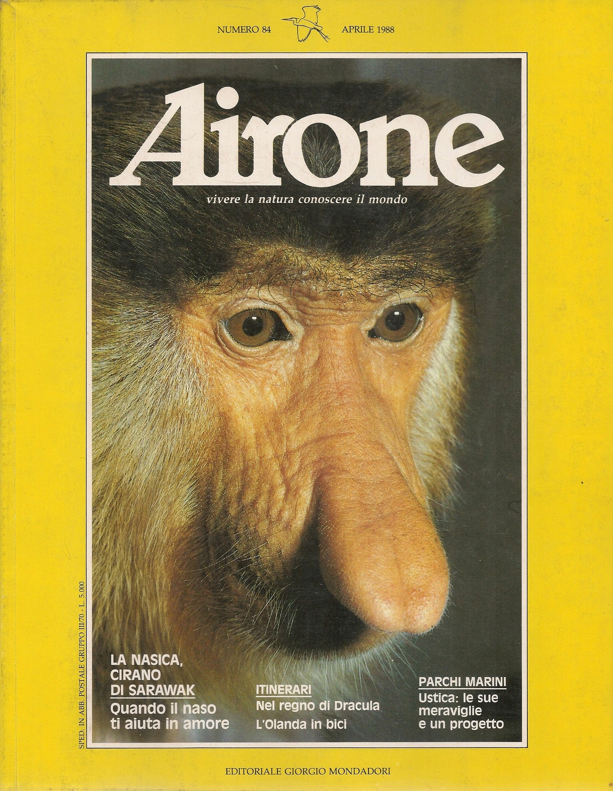 AIRONE N. 84 - APRILE 1988 - LA NASICA, CIRANO DI SARAWAK