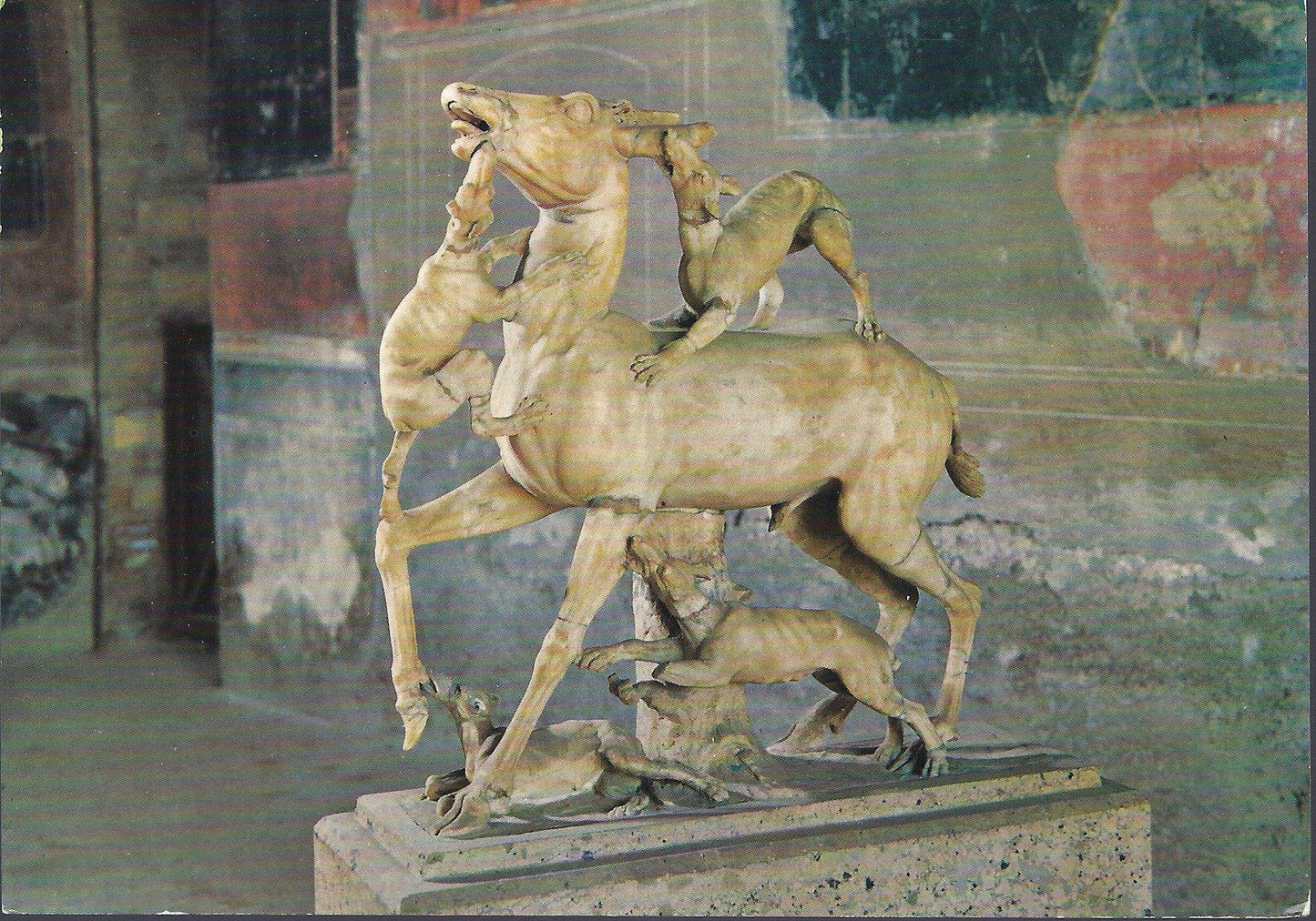 ERCOLANO - CASA DEI CERVI - CERVO ASSALITO DAI CANI - NV