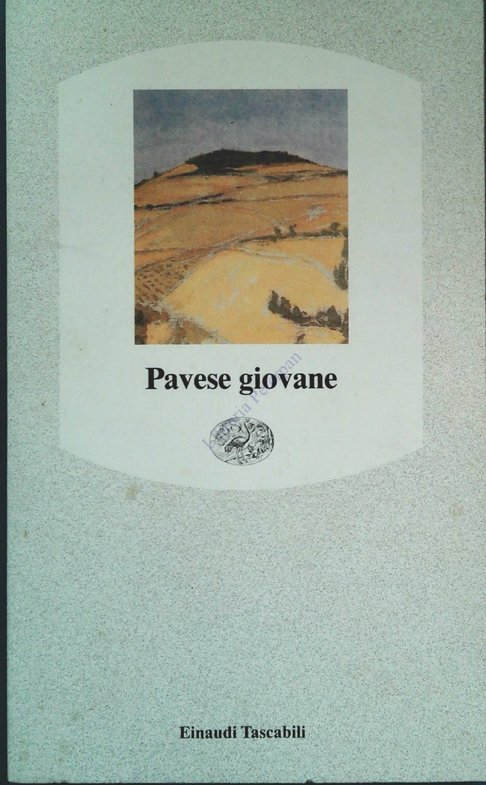 PAVESE GIOVANE