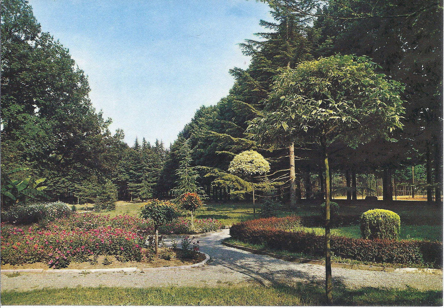 SALICE TERME - UN ANGOLO DEL PARCO - NV