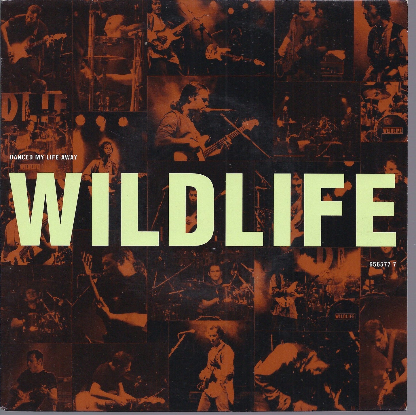 DANCED MY LIFE AWAY - ORIGINAL SIN -- WILDLIFE