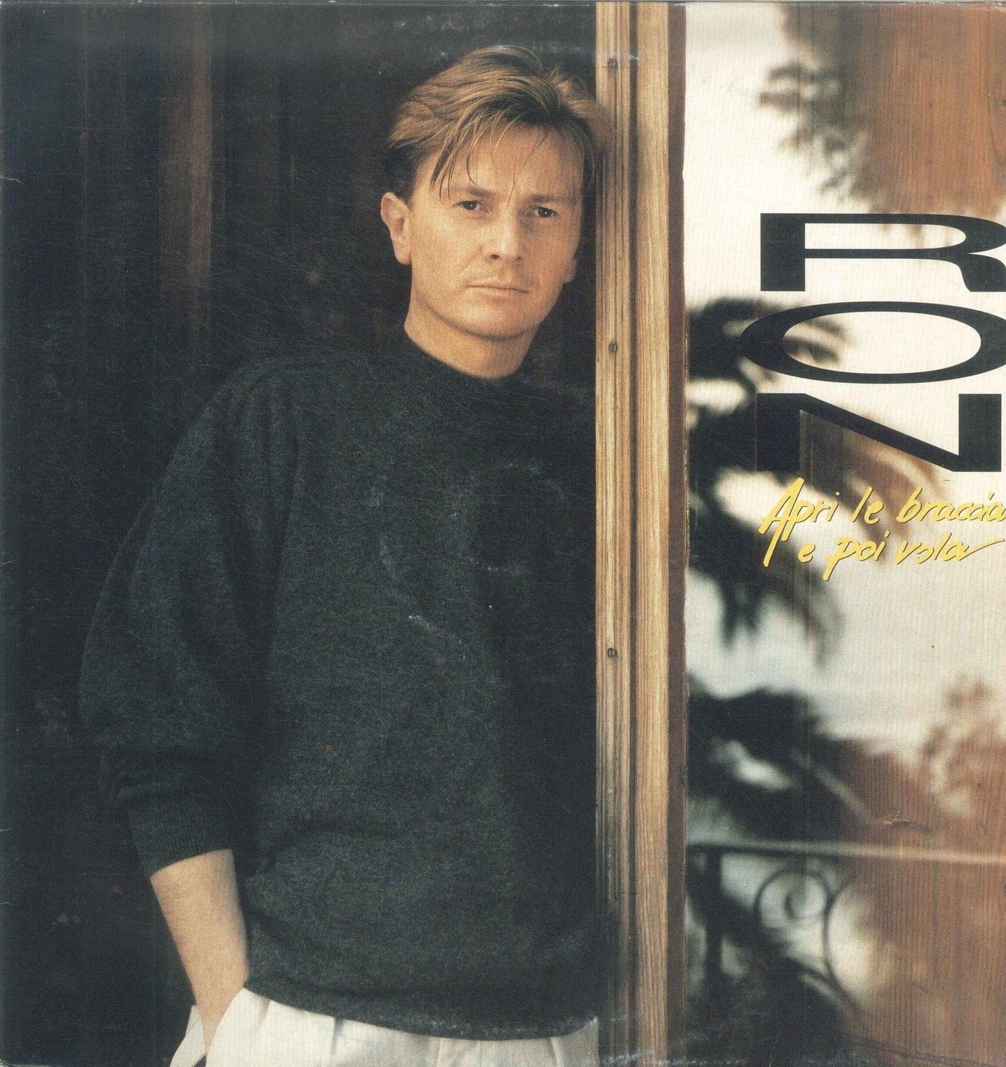 APRI LE BRACCIA POI VOLI - RON