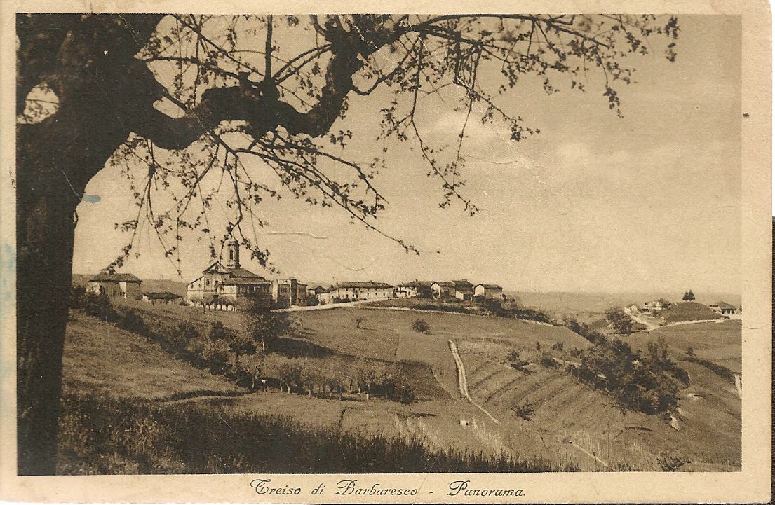 TREISO DI BARBARESCO - PANORAMA - V1936
