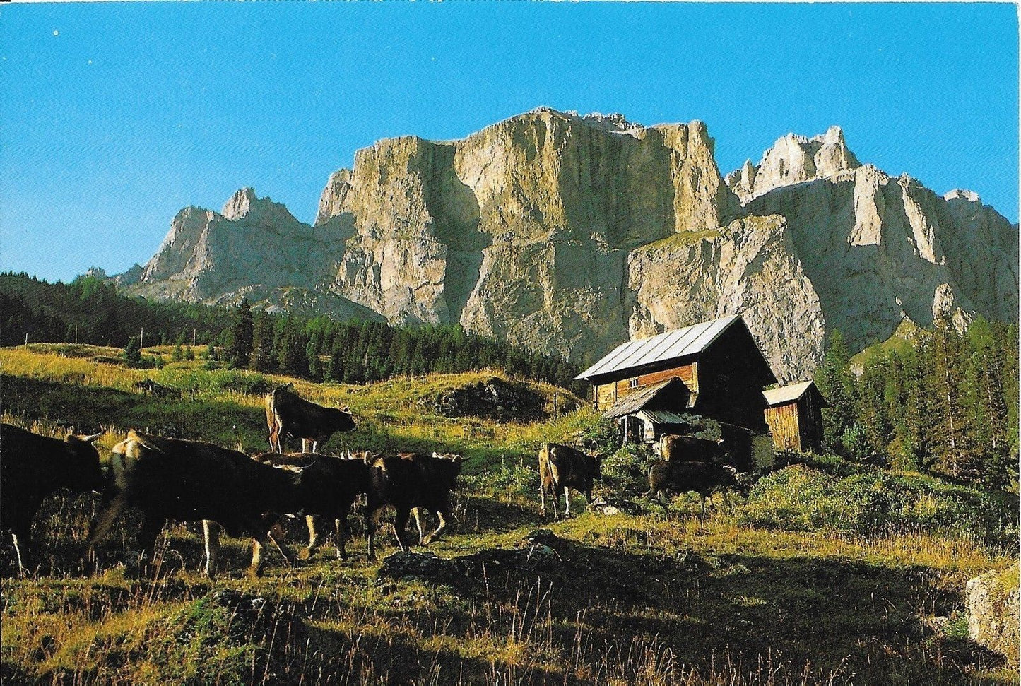 DOLOMITI - GRUPPO SELLA/DOLOMITEN - SELLA GRUPPE - NV
