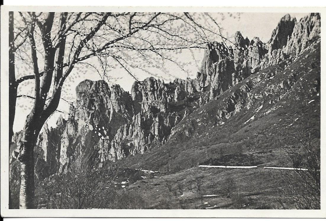 CRESTA SEGANTINI - NV - FP